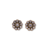 Brass Fashion Earrings