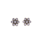 Brass Fashion Earrings