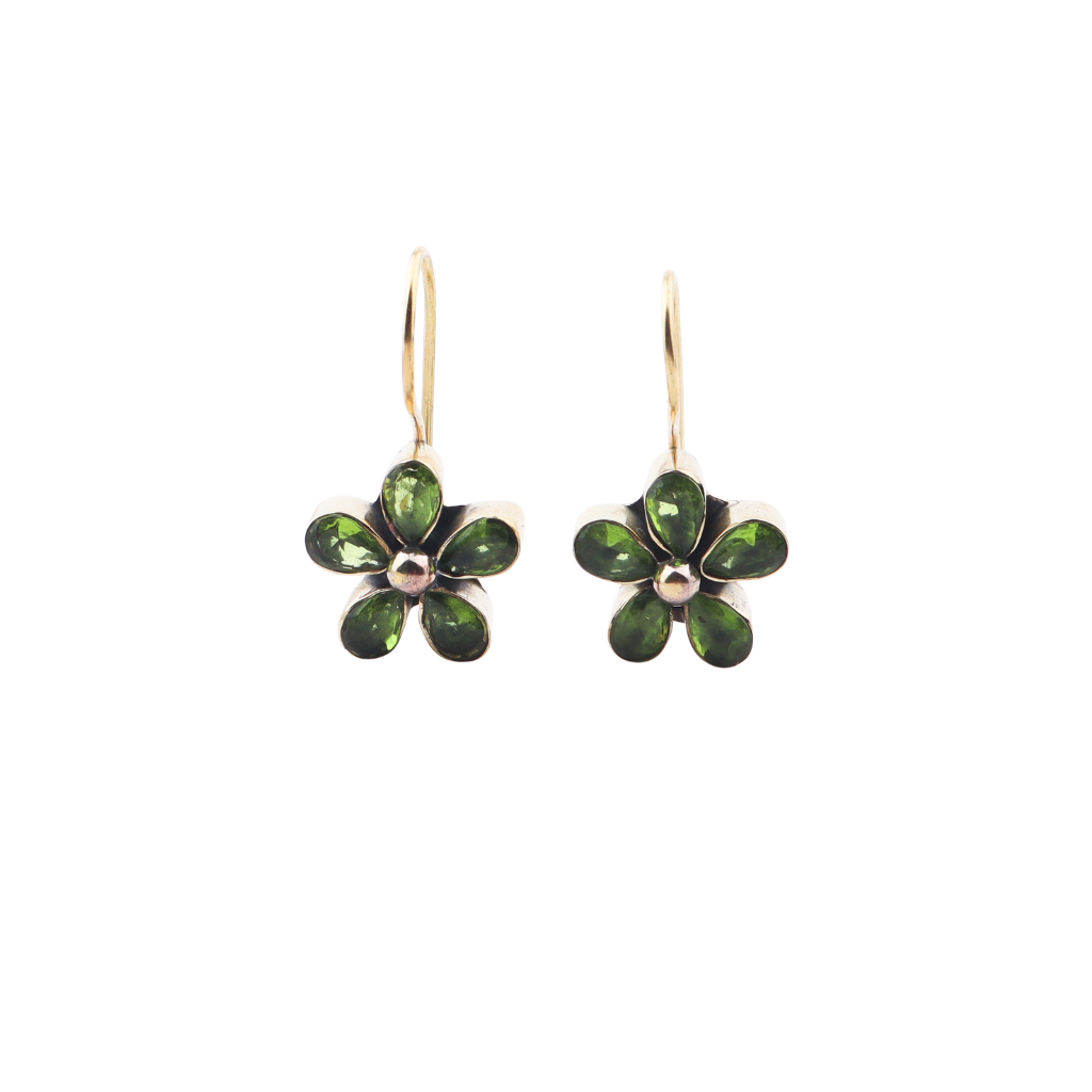 Brass Fashion Earrings