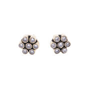 Brass Fashion Earrings