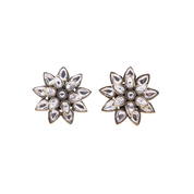 Brass Fashion Earrings