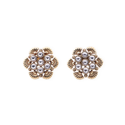 Brass Fashion Earrings
