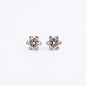 Brass Fashion Earrings