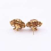Brass Fashion Earrings