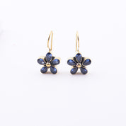 Brass Fashion Earrings