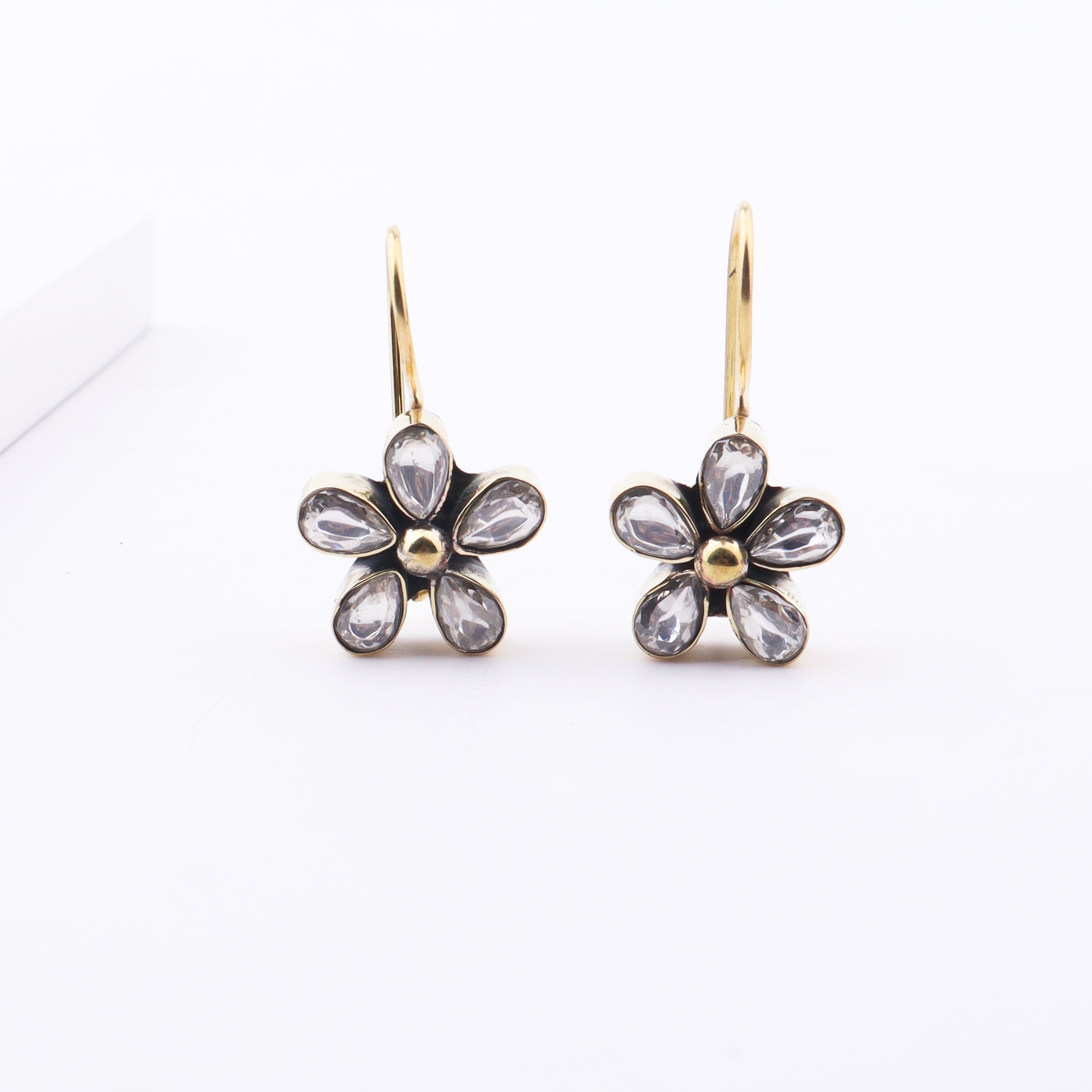 Brass Fashion Earrings