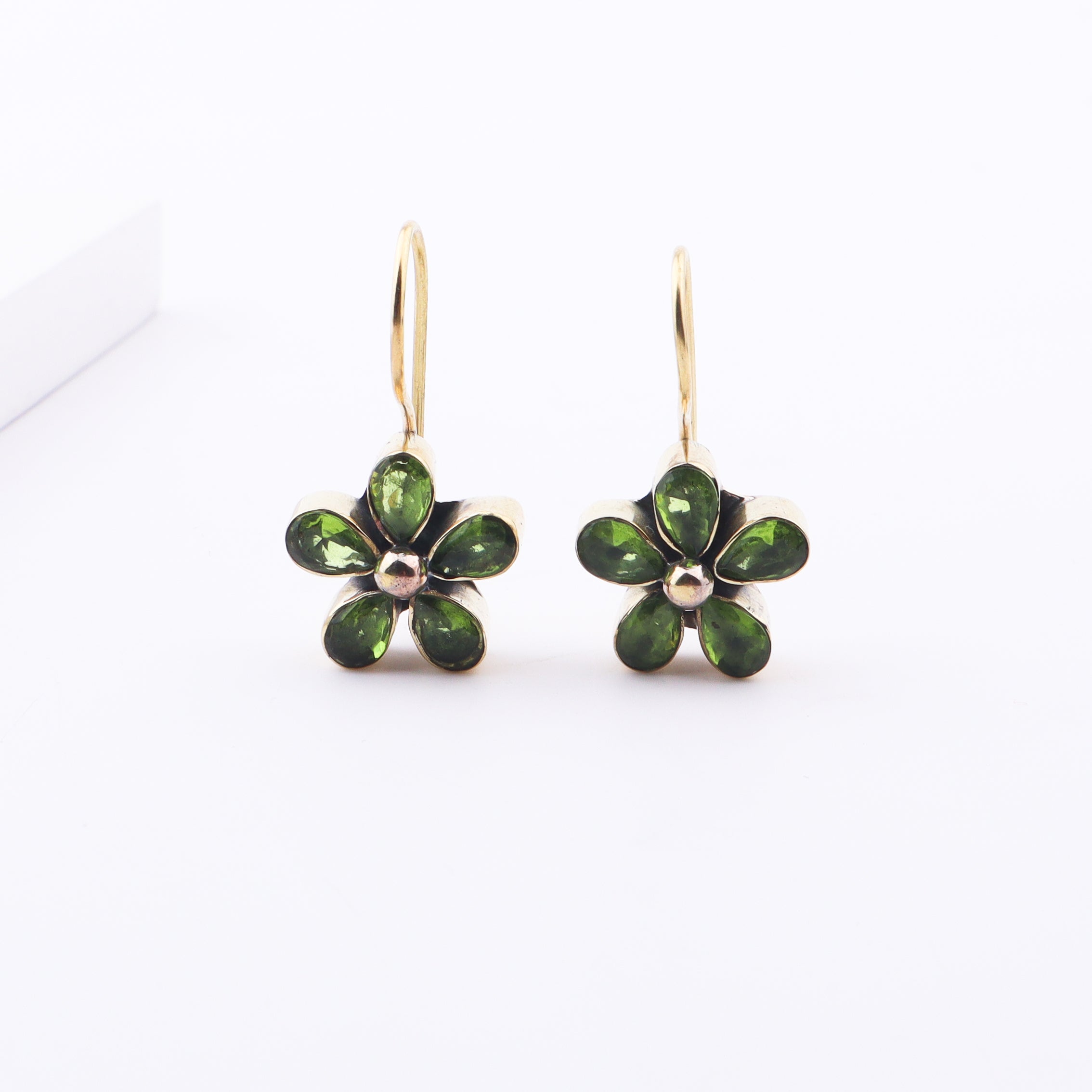 Brass Fashion Earrings