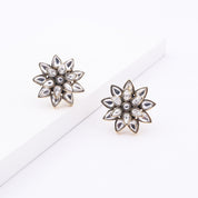 Brass Fashion Earrings