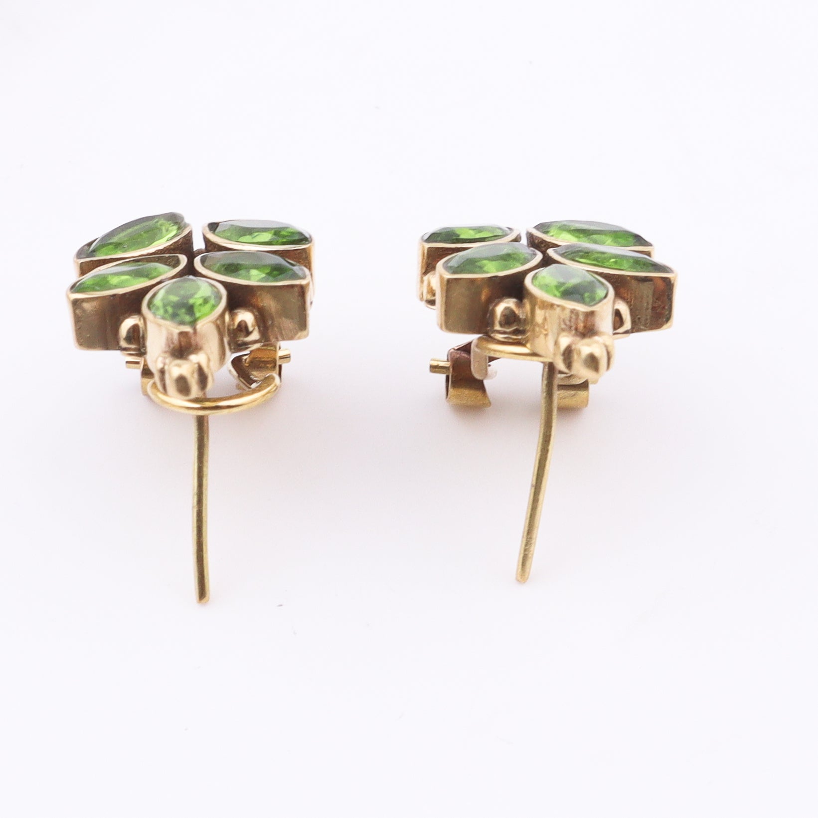 Brass Fashion Earrings