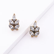 Brass Fashion Earrings