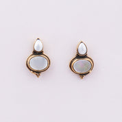 Brass Fashion Earrings