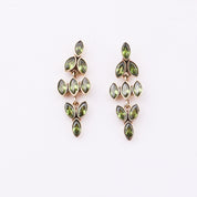 Brass Fashion Earrings