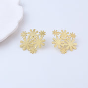 Brass Fashion Earrings