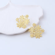 Brass Fashion Earrings